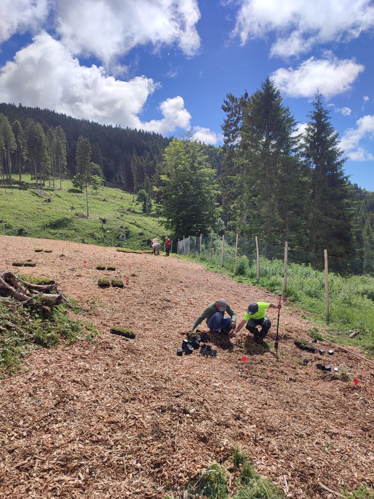 Giornata Mondiale della Terra: il nostro impegno per la rigenerazione delle foreste Rigoni di asiago